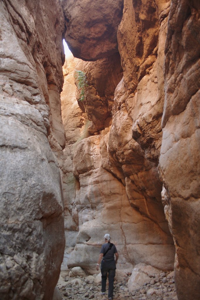 12-The gorge of a tributary of the Dades.jpg - The gorge of a tributary of the Dades